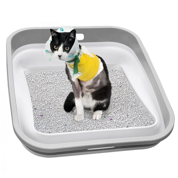 Caja de ARENA PARA gatos Maohegou Senior abierta 21,5 x 17,5 x 7 pulgadas