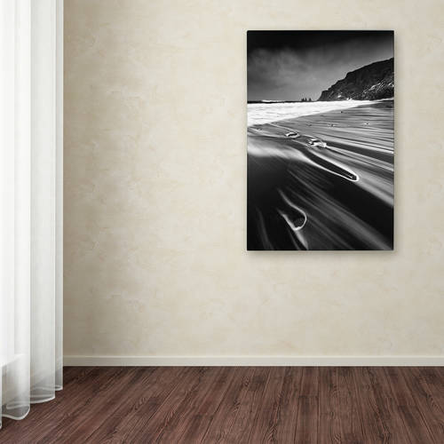 Trademark Fine Art "Veins of the Sea" Canvas Art by Mathieu Rivrin