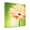 thumbnail image 2 of Tangletown Fine Art Joyful by Carolyn Cochrane Poster Frame - 19 x 23 x 1.5 in., 2 of 2
