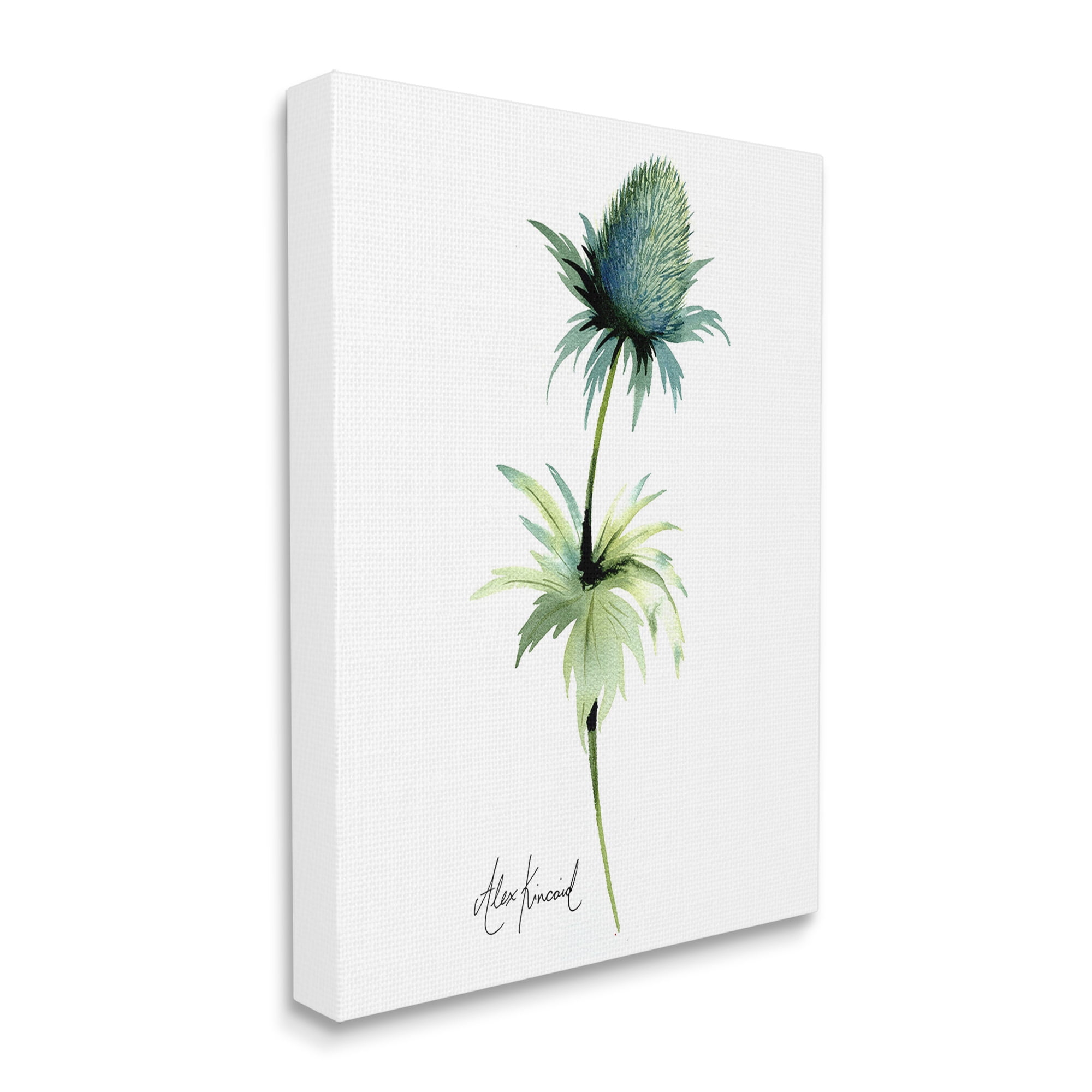 Stupell Industries Simple Thistle Plant Botanical & Floral Painting Gallery Wrapped Canvas Art Print Wall Art, 36 x 48