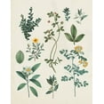 thumbnail image 2 of Portfolio, Wild Apple 15x18 Gold Ornate Wood Framed with Double Matting Museum Art Print Titled - Victorian Garden V Light, 2 of 4
