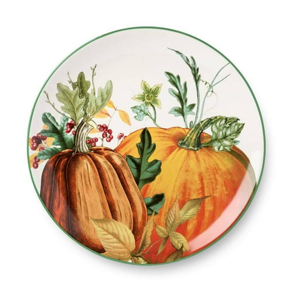 Harvest Fields Multicolored Dinner Plates 11 in. (Set of 4)