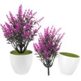 thumbnail image 1 of TABLETREANDS 2Ud De Planta Bonsái Artificial Violeta Para De Escritorios Y Hogar, 1 of 4