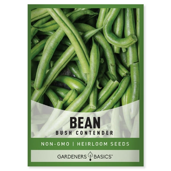 Bush Contender Bean Seeds