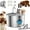 Bowl+2 Filter, variant on 2026 Next-Gen Stainless Steel Dog Water Bowl Fountain, 3.2L / 108oz Large-Capacity Pet Water Dispenser with Automatic Circulation for Dogs & Cats