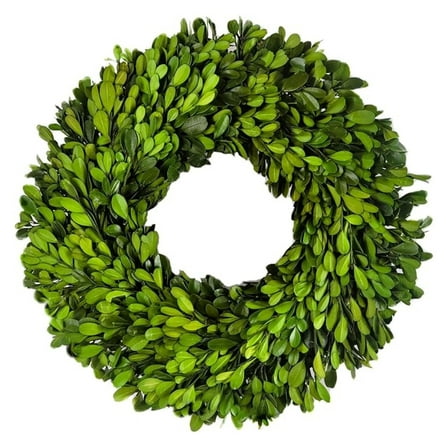Preserved Boxwood Wreath 12 in by