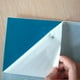 thumbnail image 4 of Paquete de 20 trampas adhesivas dobles para moscas para de plantas de interior, azul y amarillo, 4 of 9
