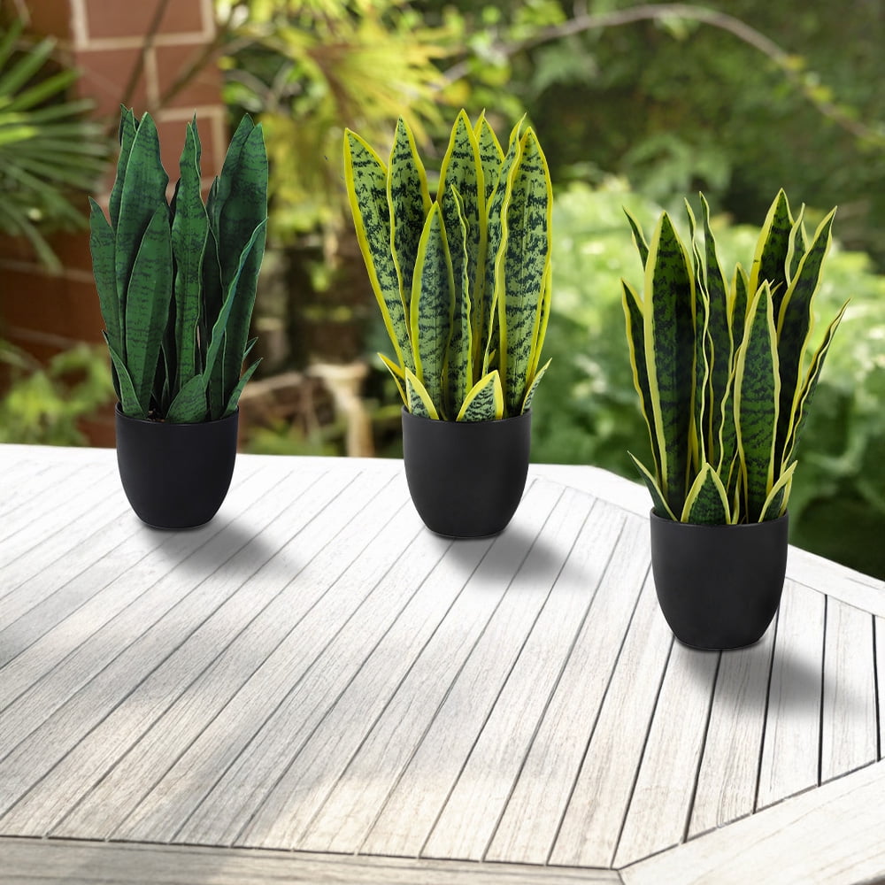 Set of 3 Realistic Artificial Potted Plant Faux Sansevieria Gold Edge Snake Plant Long Green Leaf Indoor Outdoor Decorative Ornament