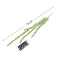 thumbnail image 2 of Plantas Suculentas Colgantes, Arreglo Floral de Bricolaje, 2 of 9
