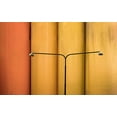 thumbnail image 2 of Schuster, Inge 24x16 Gold Ornate Wood Framed with Double Matting Museum Art Print Titled - Street lamp, 2 of 4
