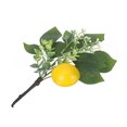 thumbnail image 5 of CHIC IMITACIÓN Plastic Lemon Flower Sucursal Decoración para el hogar para la decoración del arte, 5 of 5