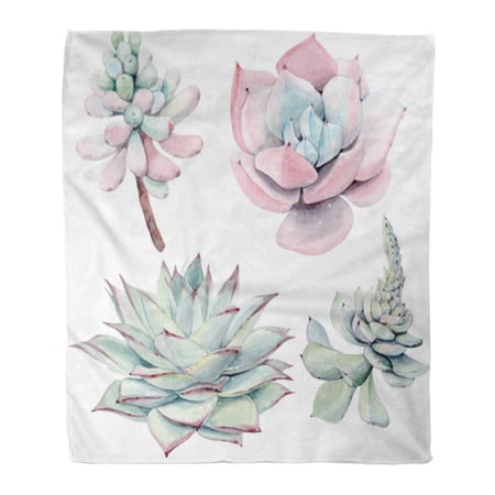 SIDONKU Throw Blanket Warm Cozy Print Flannel Watercolor Vintage Succulents Spring Summer Floral Bohemian Wedding Comfortable Soft for Bed Sofa and Couch 58x80 Inches