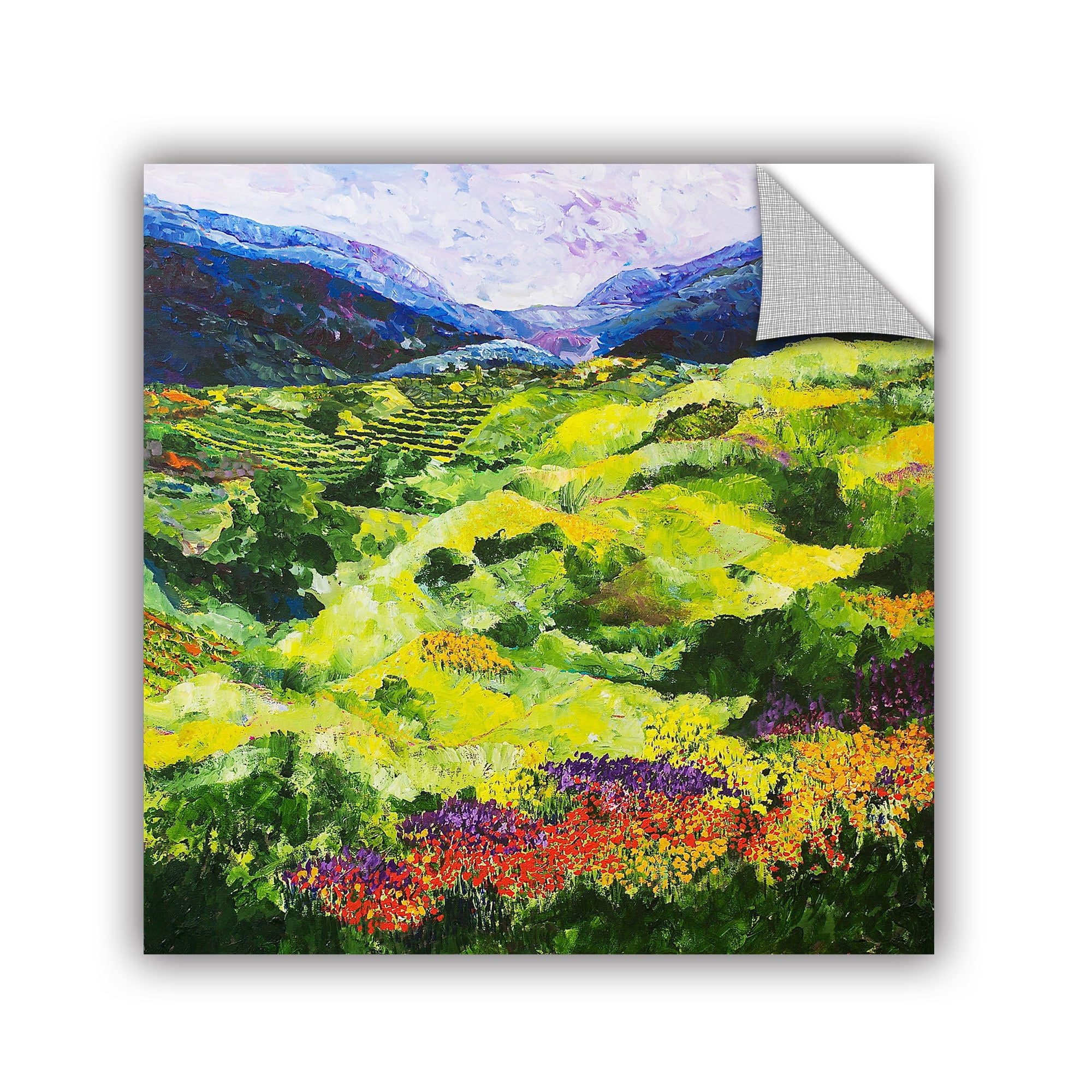 ArtAppealz Allan Friedlander "Soft Grass" Removable Wall Art