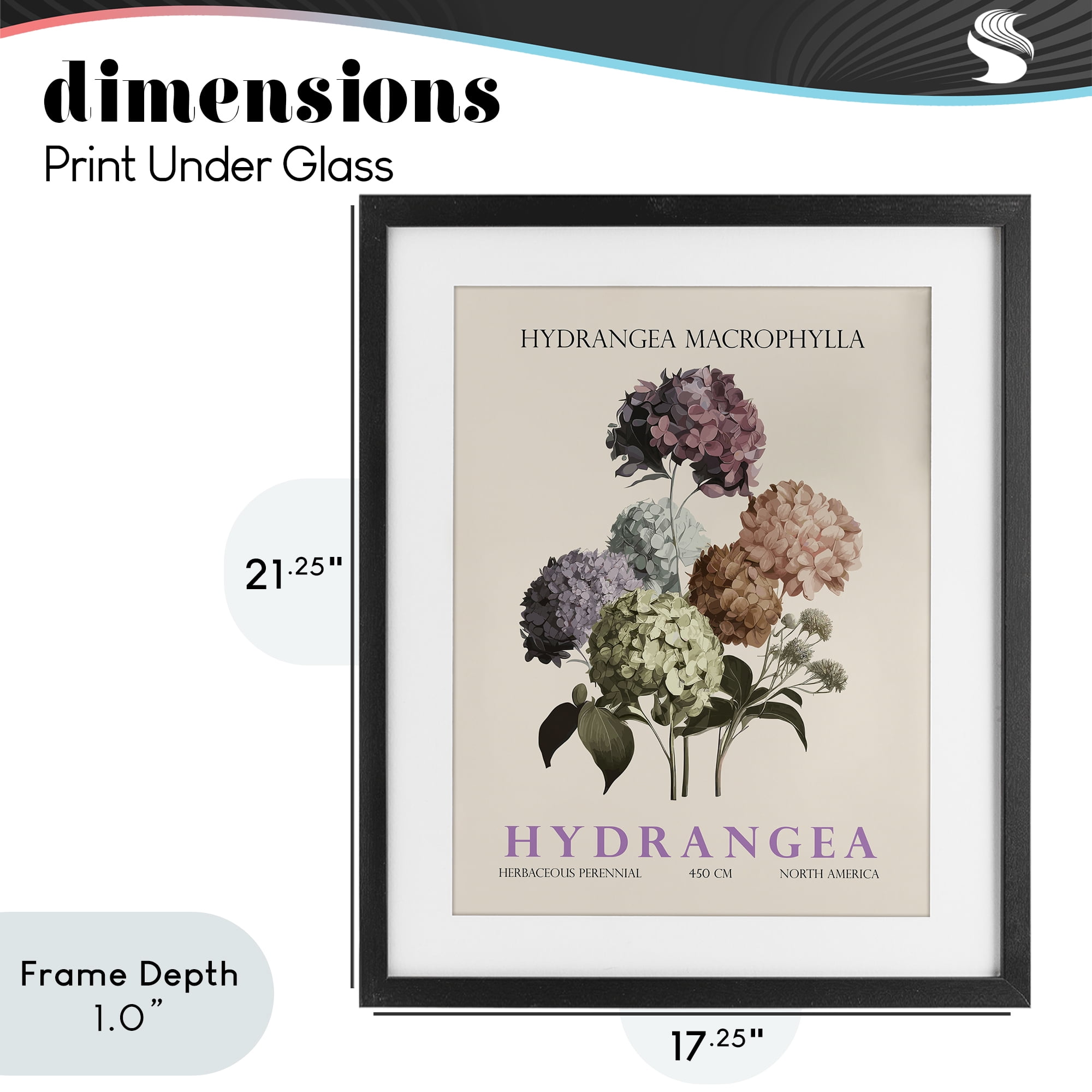 Stupell Industries Nature Hydrangea Bundle Black Framed Print Under Glass, design by Christopher Giampietro