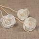 thumbnail image 3 of WORGEOUS 8PCS Aromatherapy Rattan Sticks Accesorios Aromaterapia Flor Rattans, 3 of 8