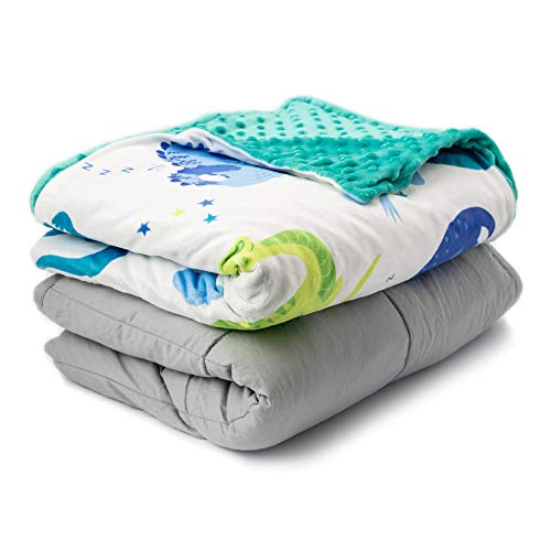 5lb, Sleepy Dinosaurs Best for 42-63lb Children Warming and Cooling Weighted Comforter with Minky Cover Sweetzer /& Orange Weighted Blanket for Kids 5lbs Heavy Blanket