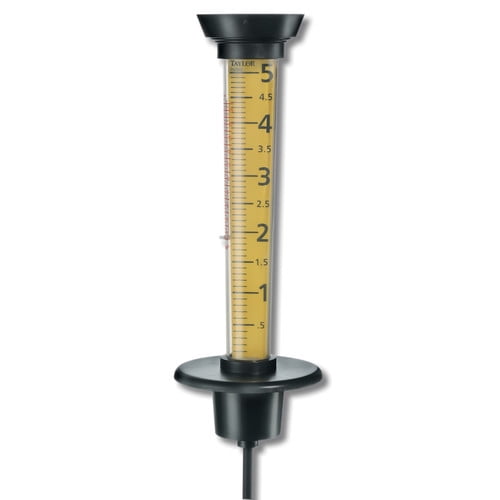 Taylor Jumbo Rain Gauge and Thermometer (Set of 4) by Taylor