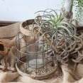 thumbnail image 4 of Faroles de vela de metal, linterna colgante para porche, para mesa de interior y exterior. L, 4 of 9