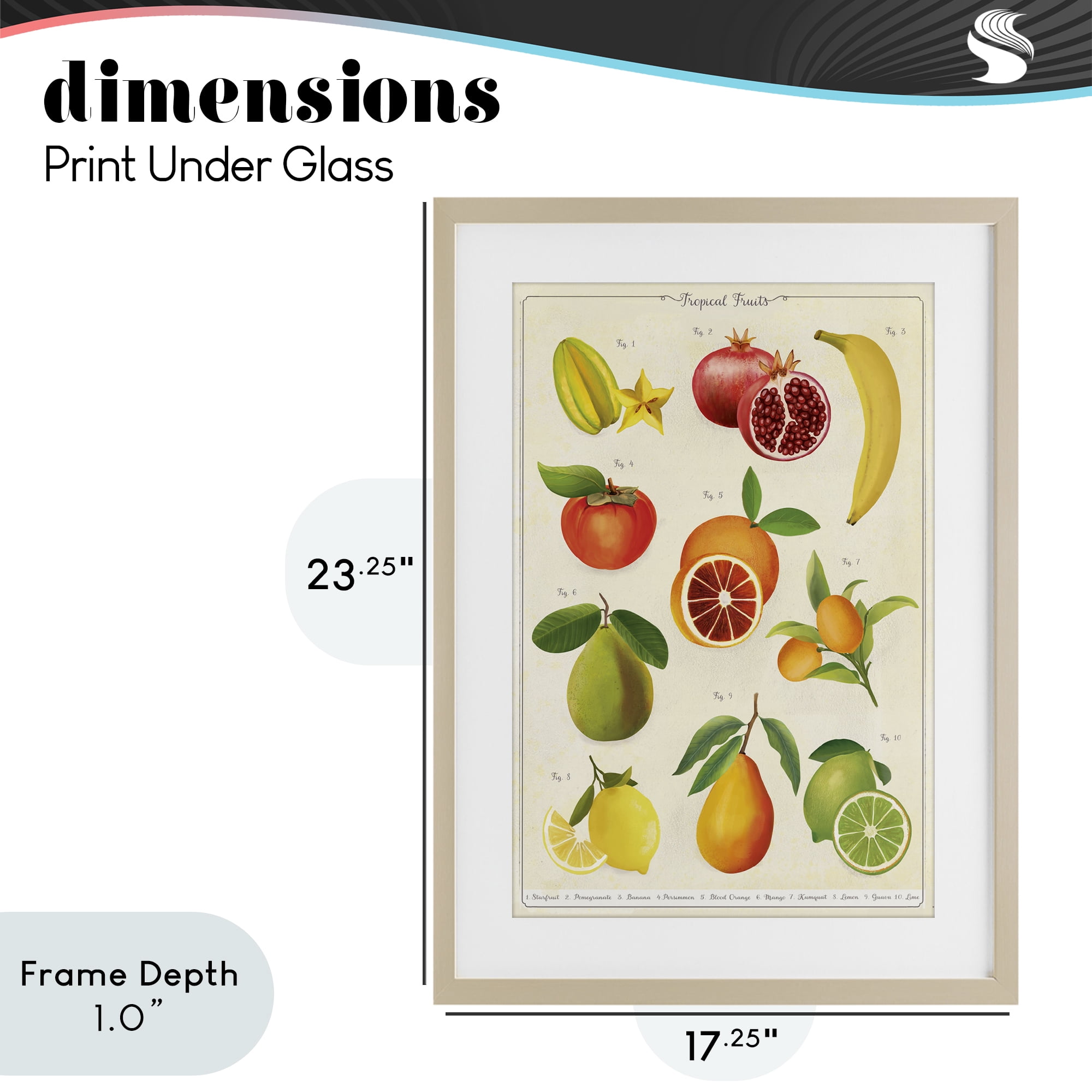 Stupell Industries Vintage Tropical Fruit Studies Birch Framed Print Under Glass, design by Diane Neukirch