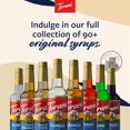 thumbnail image 4 of Torani Peach Flavoring Syrup, Professional Orchard-Fresh Fruit Base, Shatter-Resistant 1L Plastic Bottle + Bonus Squeeze Pump, 4 of 9
