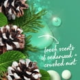 thumbnail image 5 of Dove Moisturizing Body Wash for Women Cedarwood & Crushed Mint, 20 oz, 5 of 13