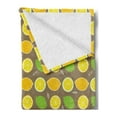 thumbnail image 2 of Lemons Soft Flannel Fleece Throw Blanket, Vividly Colored of Limes and Lemons on Taupe Background, Cozy Plush for Indoor and Outdoor Use, 50" x 60", Apple Green Yellow, by Ambesonne, 2 of 5