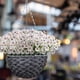 thumbnail image 1 of Simulation Violet Artificial Flowers Outdoor Protection Artificial Flowers Garden Decoration Artificial Flowers, 1 of 9