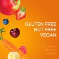 thumbnail image 4 of Sun Rype Fruit to Go 100% Fruit and Veggie Snack Pack, 4 of 7