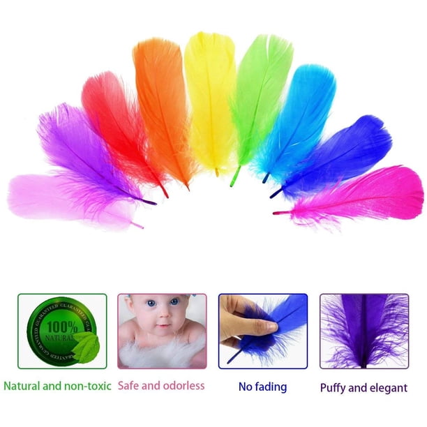 Lot De 6 Boas En Plumes Artificielles Colorées Pour Femmes Et Filles - Accessoires De Danse Et Fêtes