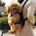 thumbnail image 5 of Pet Carrier Backpack,adjustable Pet Front Cat Dog Carrier, 5 of 5