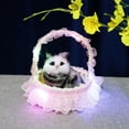 thumbnail image 1 of Fiudx Juguete de Simulación para Gatos, Decoración Realista para Mascotas, Alta Simulación, Tacto Realista, Regalo Educativo, Decoración para El Hogar y La Oficina, Regalo de Cumpleaños, 2 Pilas de B, 1 of 5
