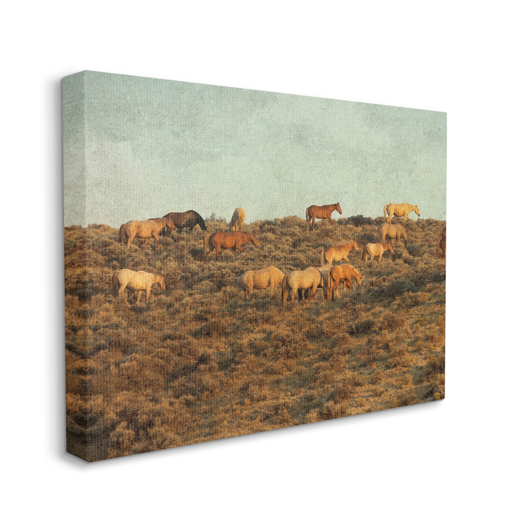 Stupell Industries Rural Horses Grazing Photograph Gallery Wrapped Canvas Print Wall Art, Design by Jan Walters
