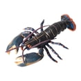 thumbnail image 1 of Figuras de animales, modelos de animales marinos, animales marinos, animales , figuras de animales, modelos de animales, juguetes para regalo langosta, 1 of 10