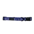 thumbnail image 5 of K-9 Beltz Classic Style Dog Collar with Buckle (Large), 5 of 5