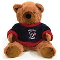 thumbnail image 1 of Ours en Peluche Houston Texans 20 Pouces, 1 of 1