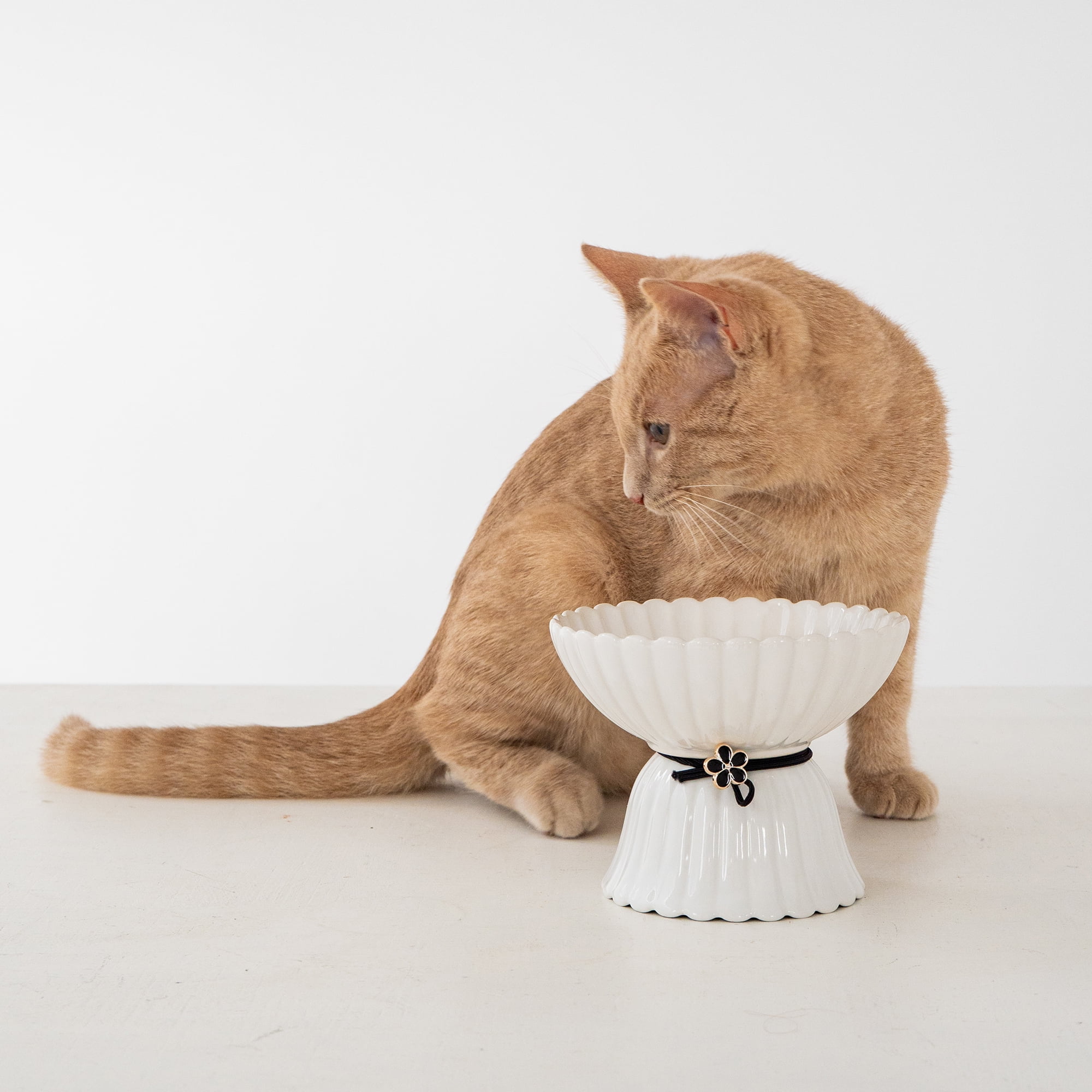 Dexypaws: Elevated Ceramic Bowl For Cats - White & Black Flower - 8.45oz Capacity, Pet Feeding Dish, Dishwasher Safe, Food & Water, Ergonomic Height
