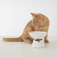 thumbnail image 5 of Dexypaws: Elevated Ceramic Bowl For Cats - White & Black Flower - 8.45oz Capacity, Pet Feeding Dish, Dishwasher Safe, Food & Water, Ergonomic Height, 5 of 6