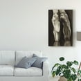 thumbnail image 3 of Trademark Fine Art 'Ballet Shoes I' Canvas Art by Grace Popp, 3 of 4