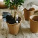thumbnail image 4 of Hytrove 4Ud Medidor De Para Plantas Con Escala Precisa Y Uso, 4 of 8