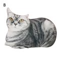 thumbnail image 1 of TH Realistic Animal 3D Pillow Tiger Soft Plush Toy Double-sided Printing Cat Doll, 1 of 5