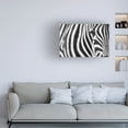 thumbnail image 2 of Trademark Fine Art Richard Guijt Zebra Stripes Canvas Wall Art, 2 of 4