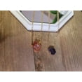 thumbnail image 4 of Raw Crystal Necklace, Carnelian Rough Stone Necklace, Amethyst Necklace, 4 of 9