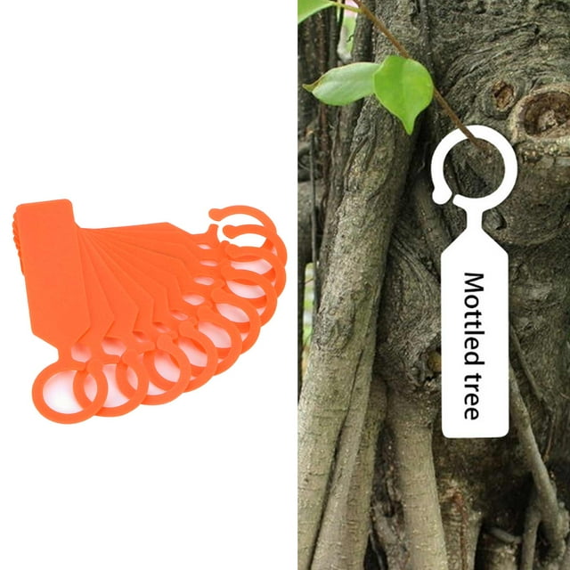 Hanging Flower Tag Garden Plant Tree Label Labels Seedlings Sign Markers Accessory Buckle Plant Tree Tag
