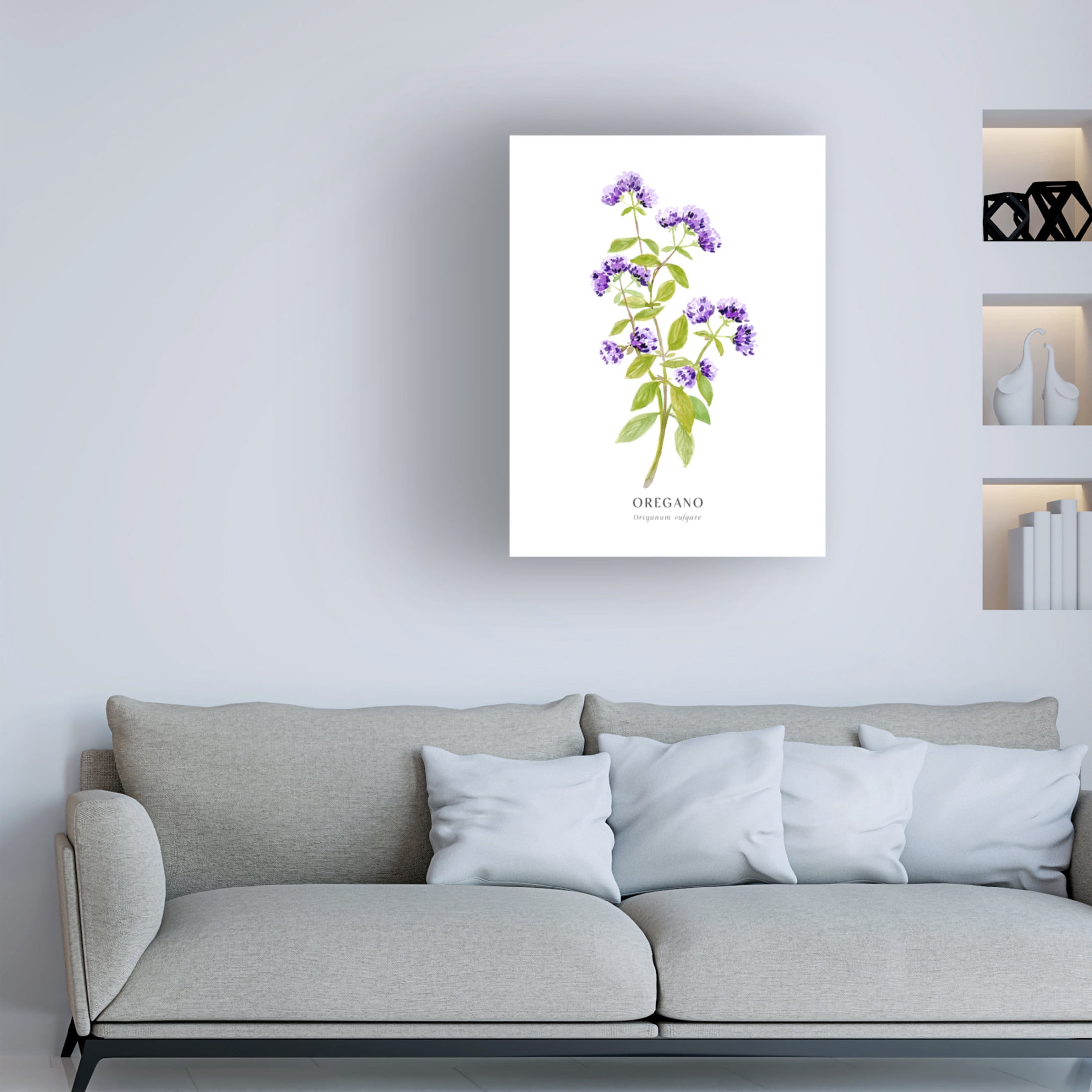 Trademark Fine Art Rosana Laiz Blursbyai Oregano I Canvas Wall Art