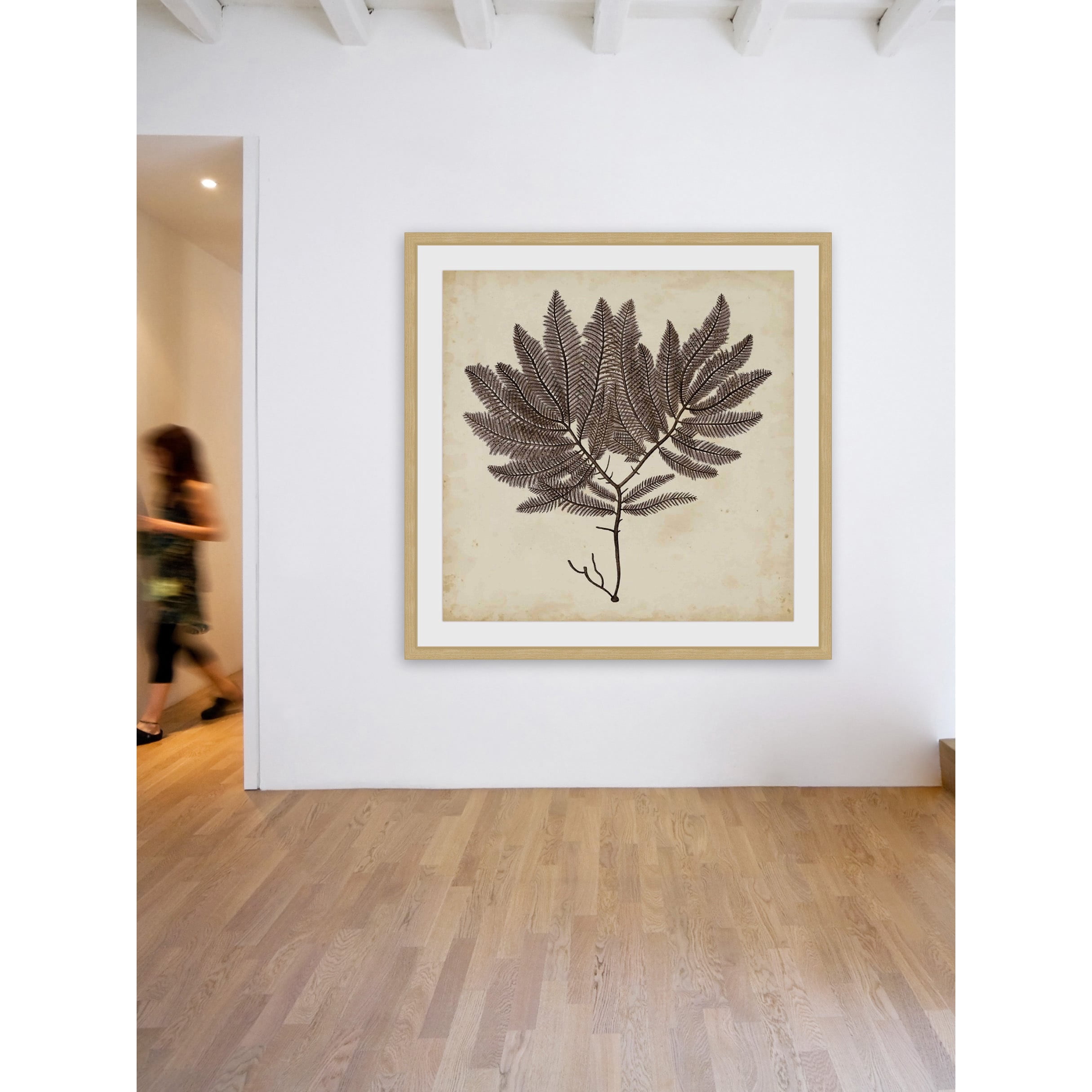 Marmont Hill "Vintage Seaweed II" Framed Painting Print