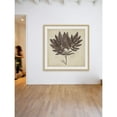 thumbnail image 5 of Marmont Hill "Vintage Seaweed II" Framed Painting Print, 5 of 5