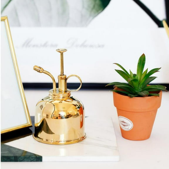 PBPBOX Watering Can Copper Retro Spray Home Decor Indoor Use 1Pcs