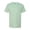 Mint, variant on Next Level T-Shirt N6210 Basic Men's CVC Crew