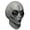 Alien, variant on ITFABS Halloween Skull Mask, Horror Latex Costume Full Head Scary Face