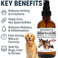 thumbnail image 2 of Colloidal Silver Spray for Dogs & Cats, 10ppm Pet Hot Spot & Wound Care, Itch Relief Skin Treatment, Fast-Acting Spray, 118ml (4oz) London's Choice, 2 of 9